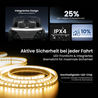 Velmontly-S2 Elektromobil mit 250-W-Motor, 20 km Reichweite, LED-Licht, Wechselakku und Automatikbremse