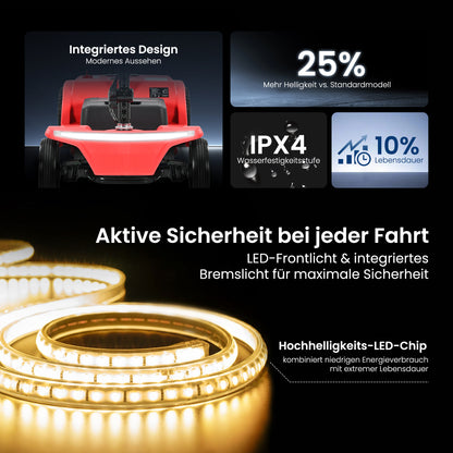 Velmontly-S2 Elektromobil mit 250-W-Motor, 20 km Reichweite, LED-Licht, Wechselakku und Automatikbremse